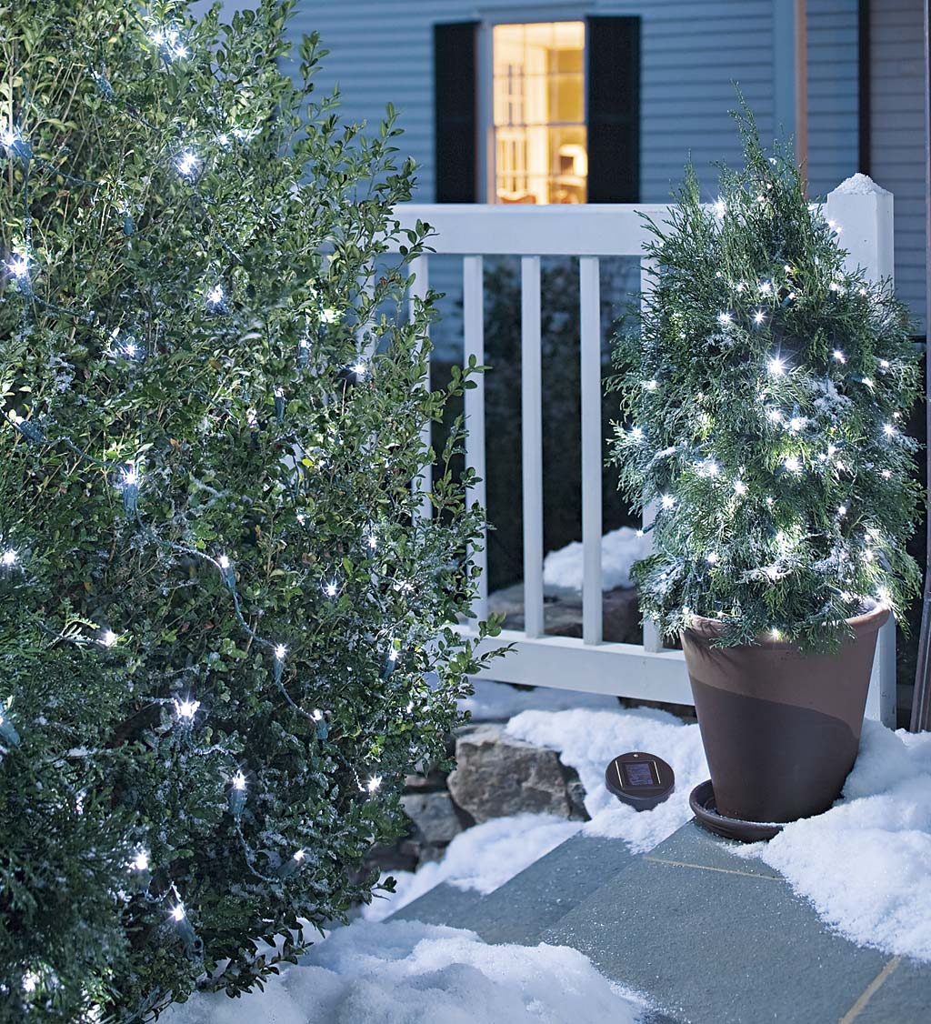 White LED Solar String Lights