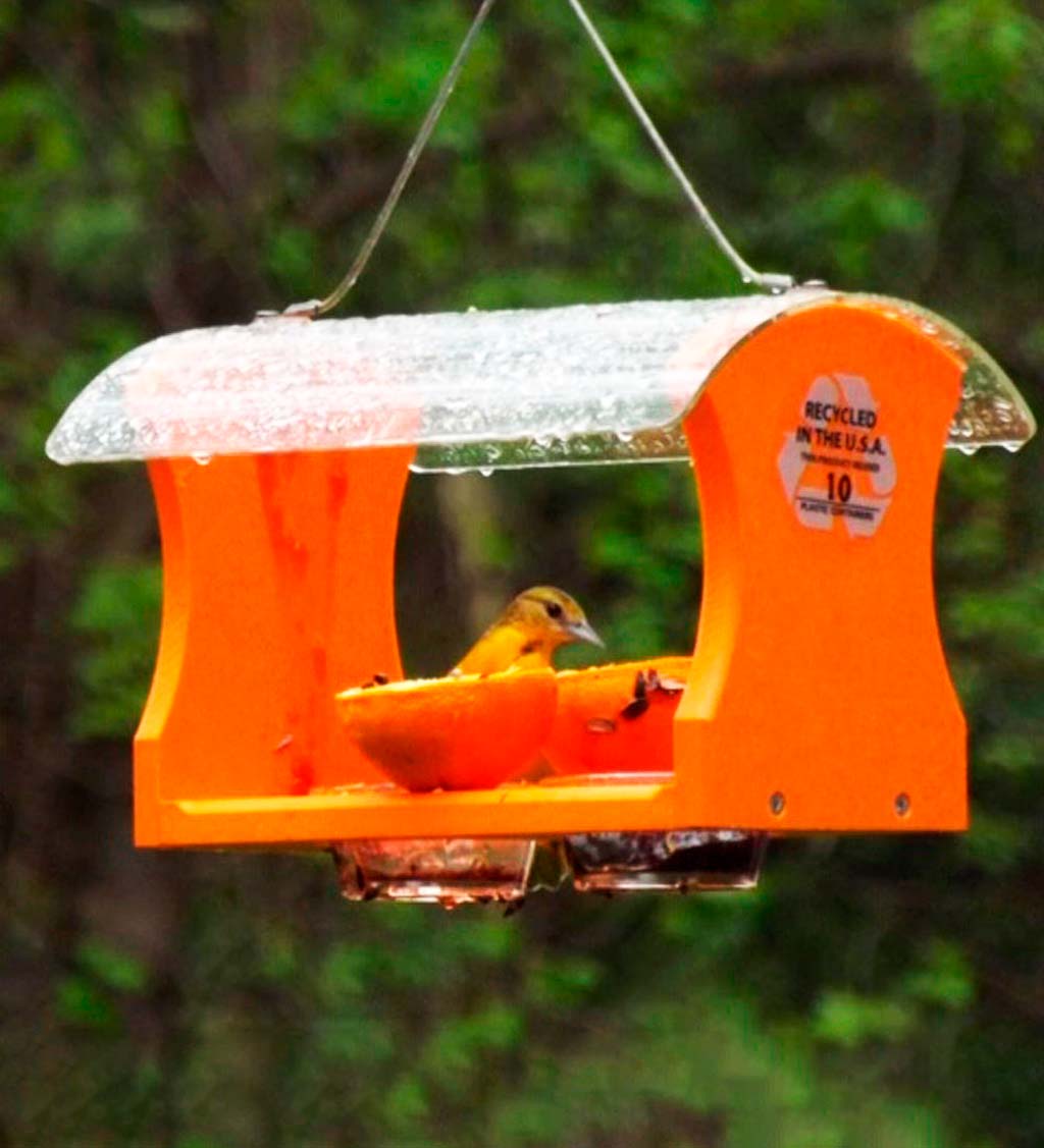 Recycled Plastic Poly-Lumber Oriole Bird Feeder