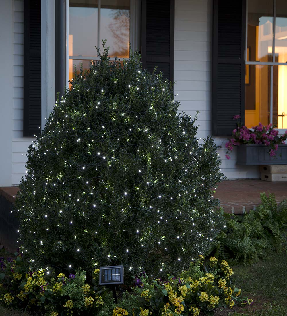 White LED Solar String Lights