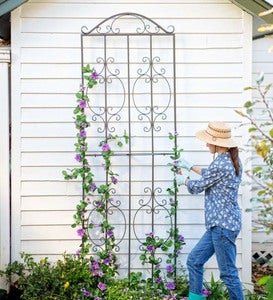 Burnished Bronze Finished Iron Montebello Trellises