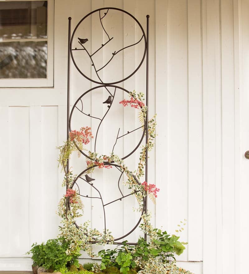 Circle Of Birds Trio Garden Trellis