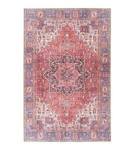 Indoor/Outdoor Berkley Border Polyester Rug