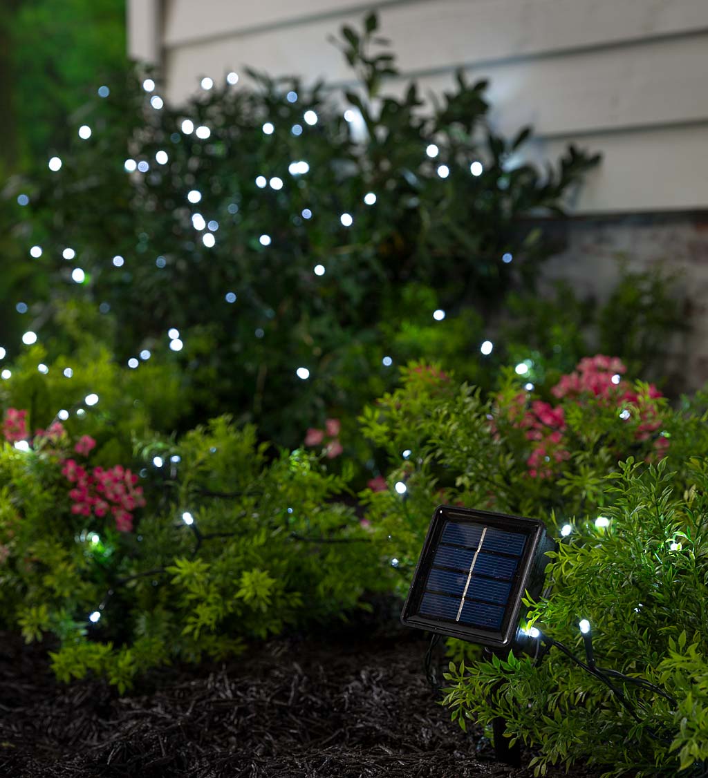 White LED Solar String Lights