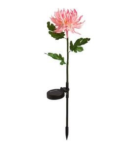 Solar Flower Garden Stakes, Set of 2