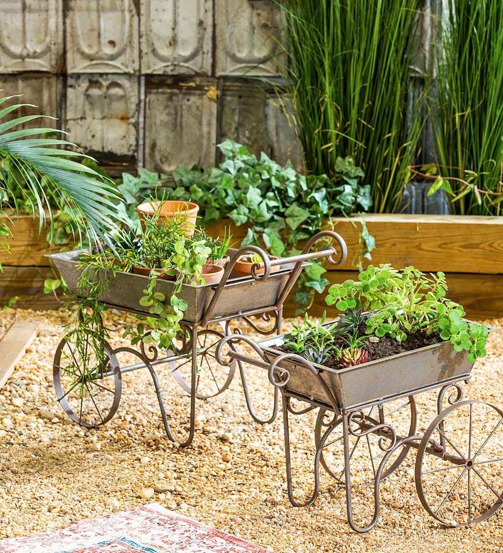 Galvanized Metal Wheelbarrow Planters, Set of 2