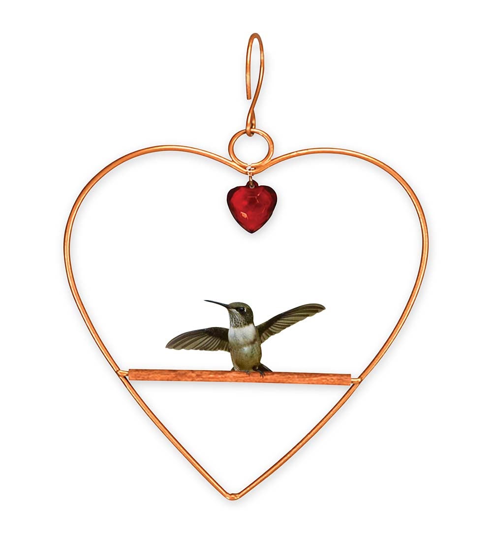 Tweet Heart Bird Swing