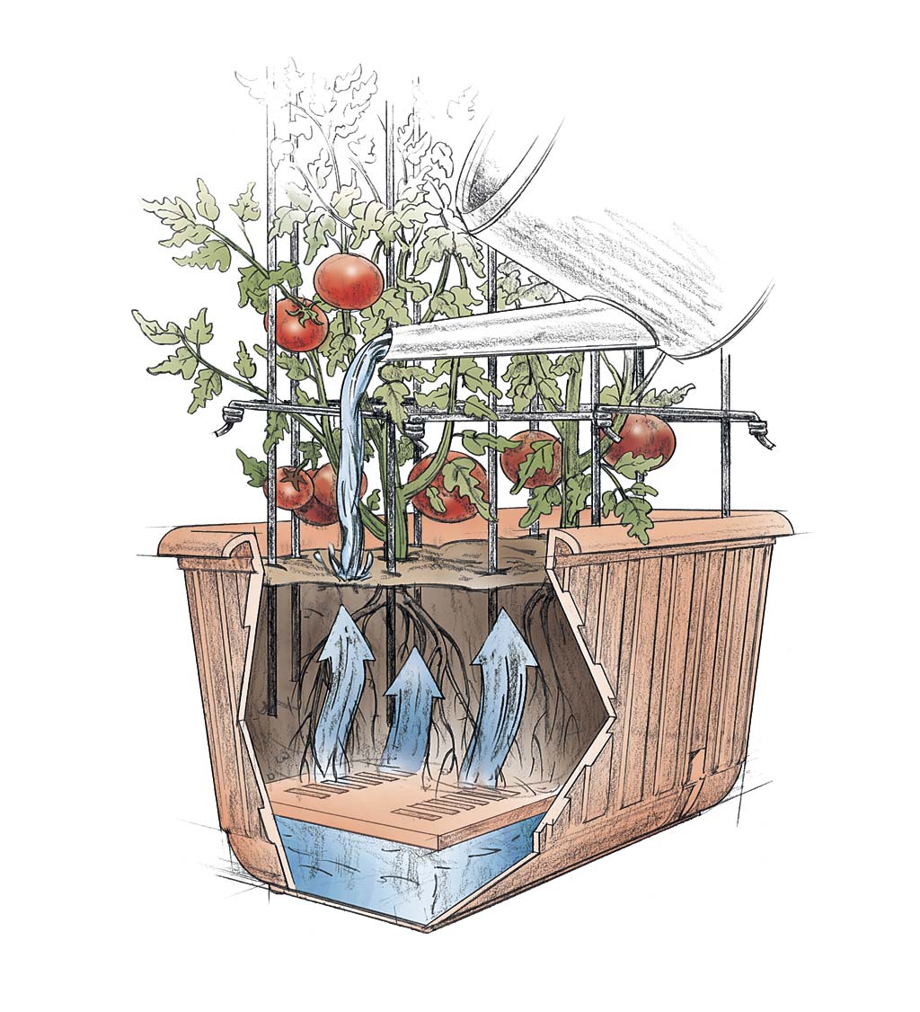 Self-Watering Tomato Planter and Rust-Resistant Tower