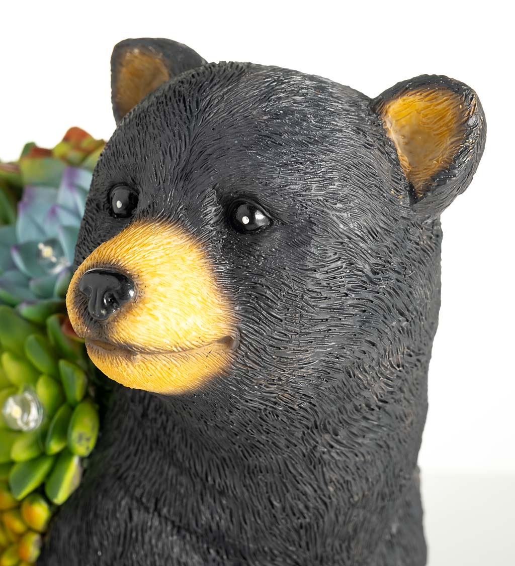 Solar Lighted Bear Statue with Succulent Accents