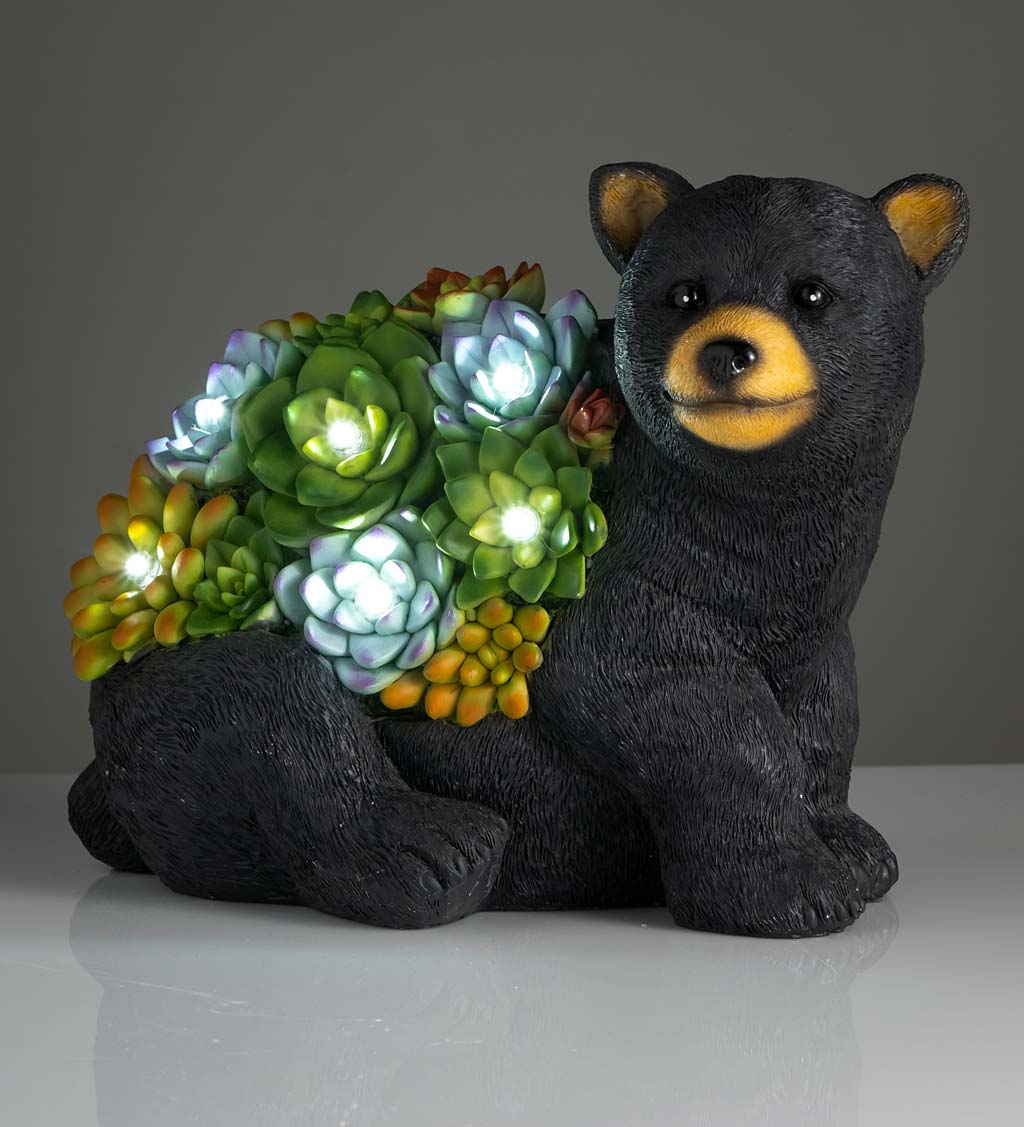 Solar Lighted Bear Statue with Succulent Accents