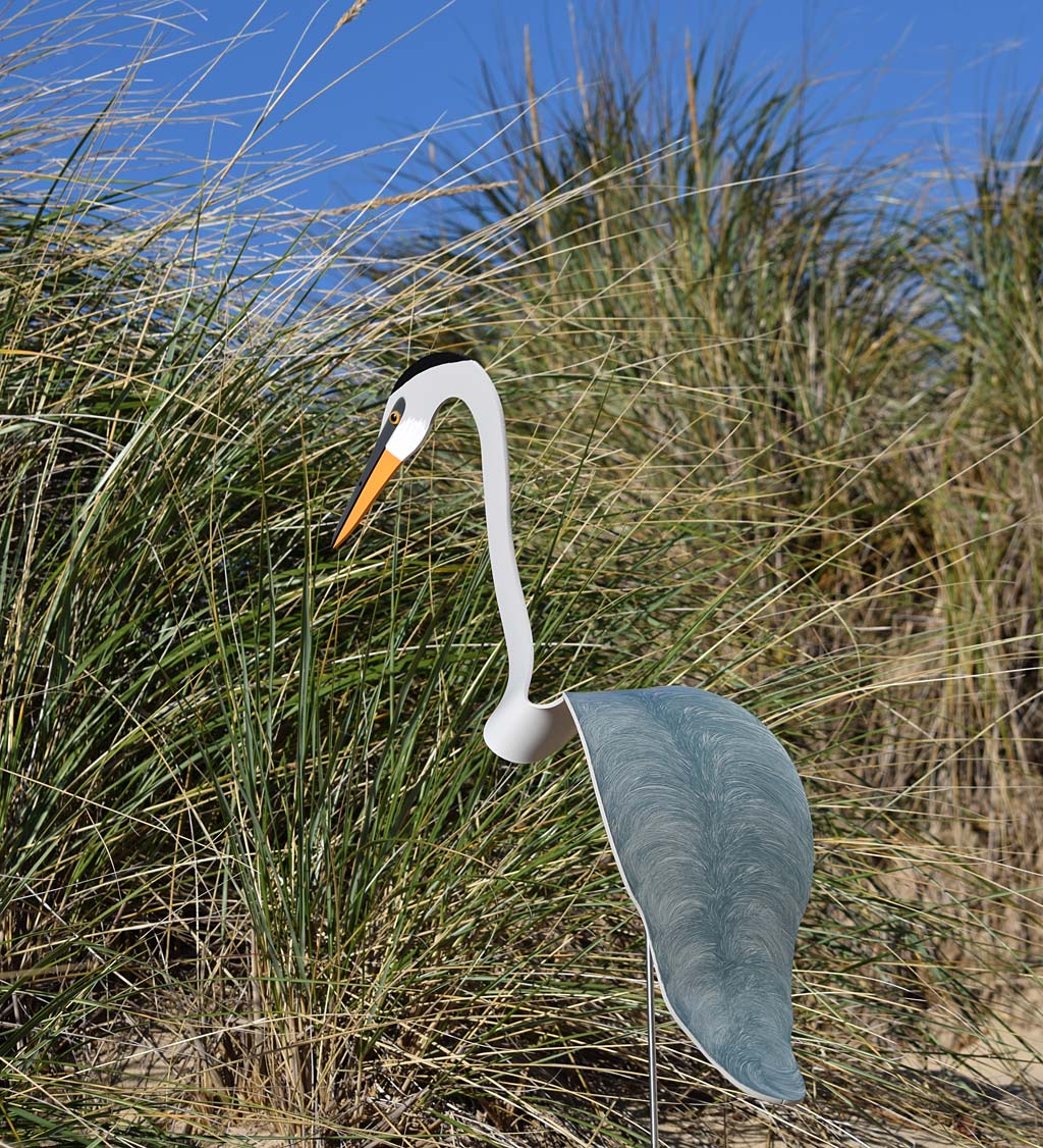 Great Blue Heron Dancing Bird