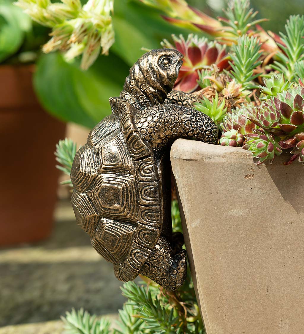 Tortoise Pot Buddy Pot Hanger