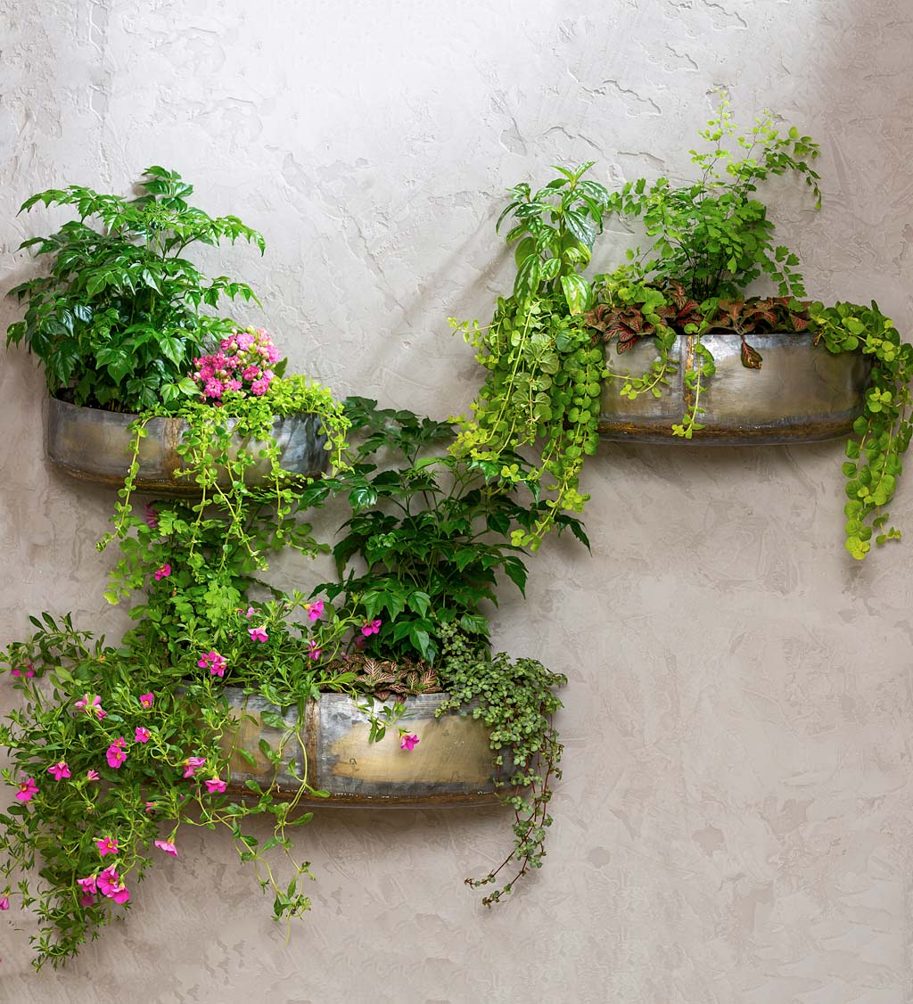 Rustic Metal Wall Planters, Set of 3