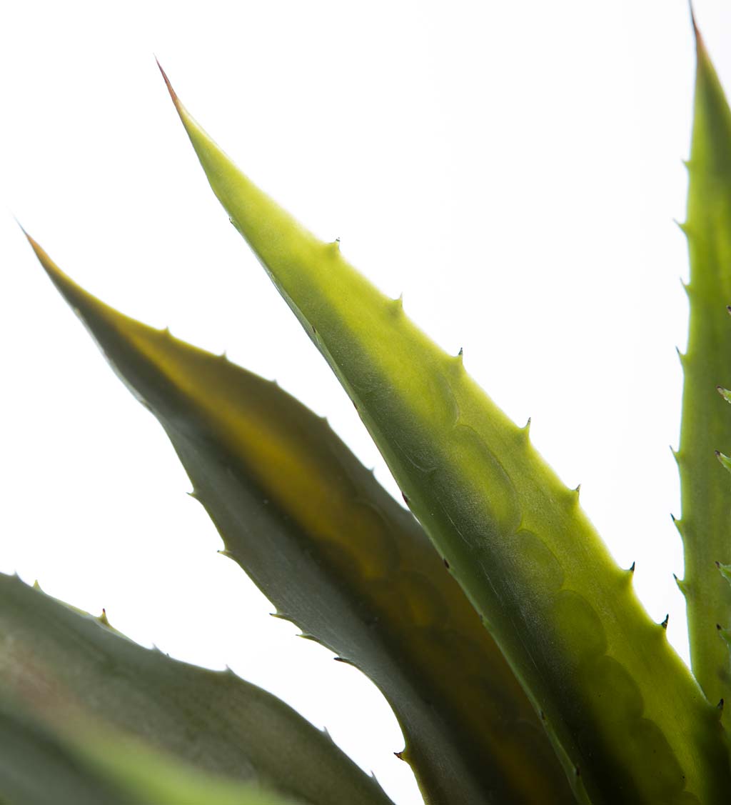 Large Faux Real Agave Plant