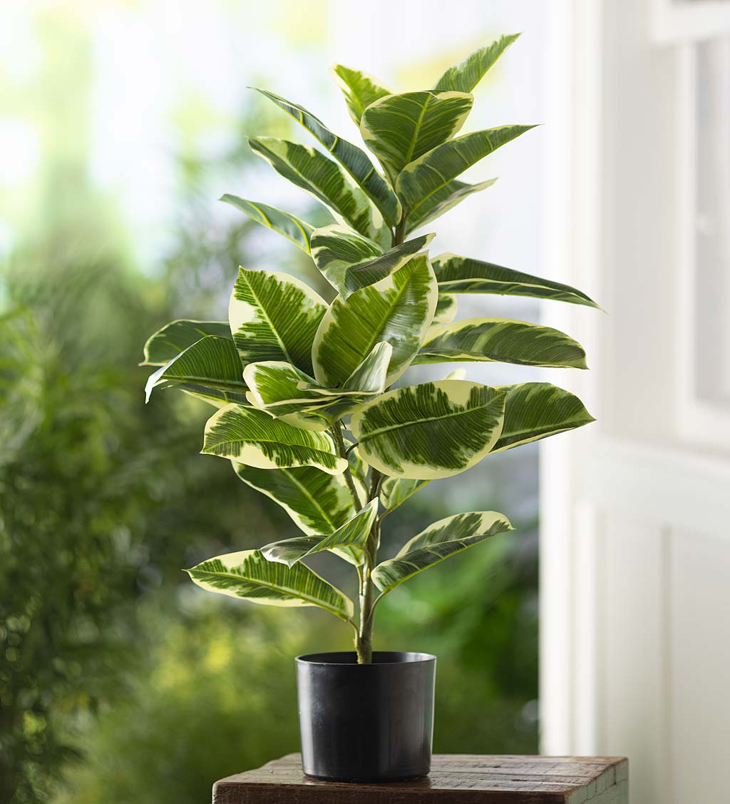 Faux Real Rubber Tree Artificial Potted Plant