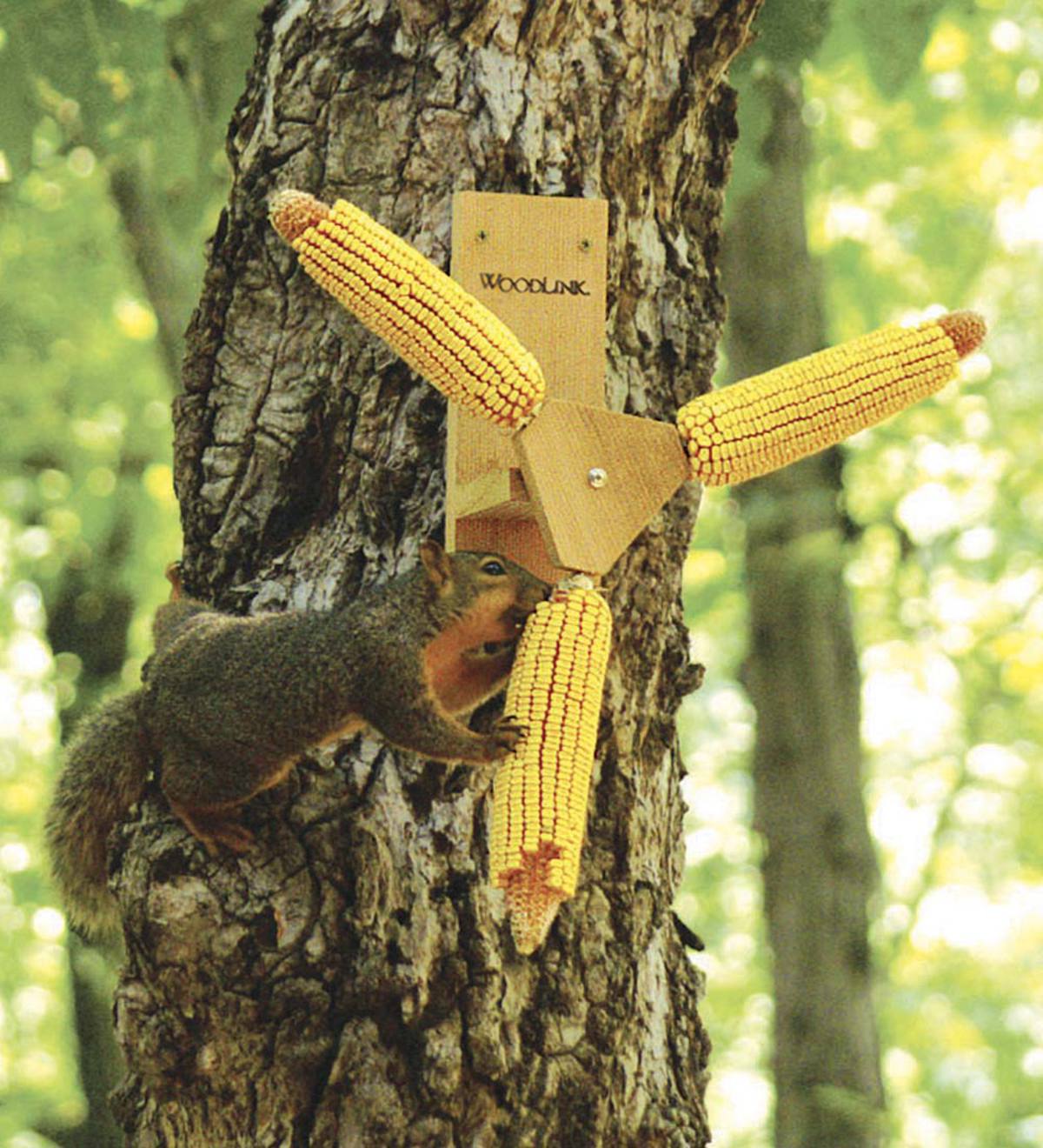 Spinning Squirrel Feeder