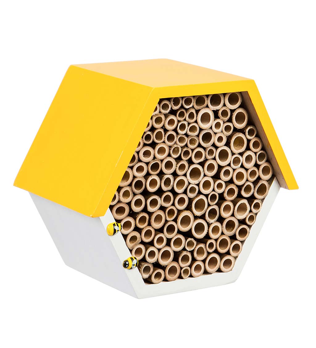 Hexagonal Busy Bee Pollinator Habitat