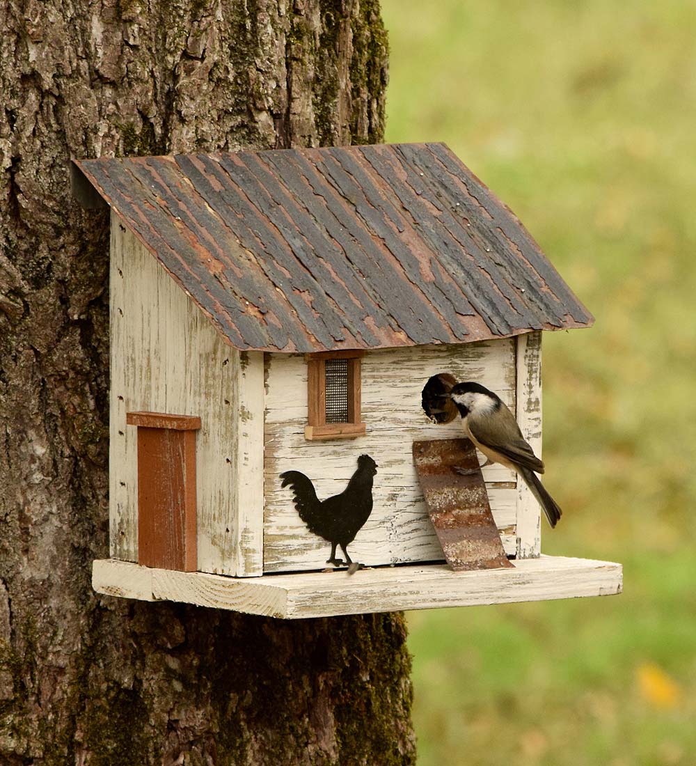 Chicken Coop Birdhouse