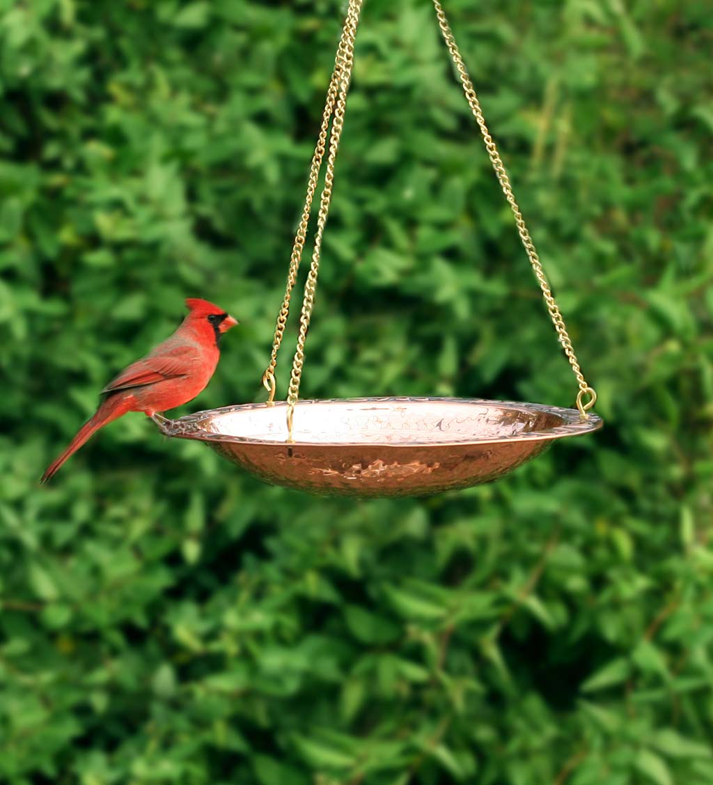 Pure Copper Hanging Birdbath on 17" Long Brass Chain with Hook