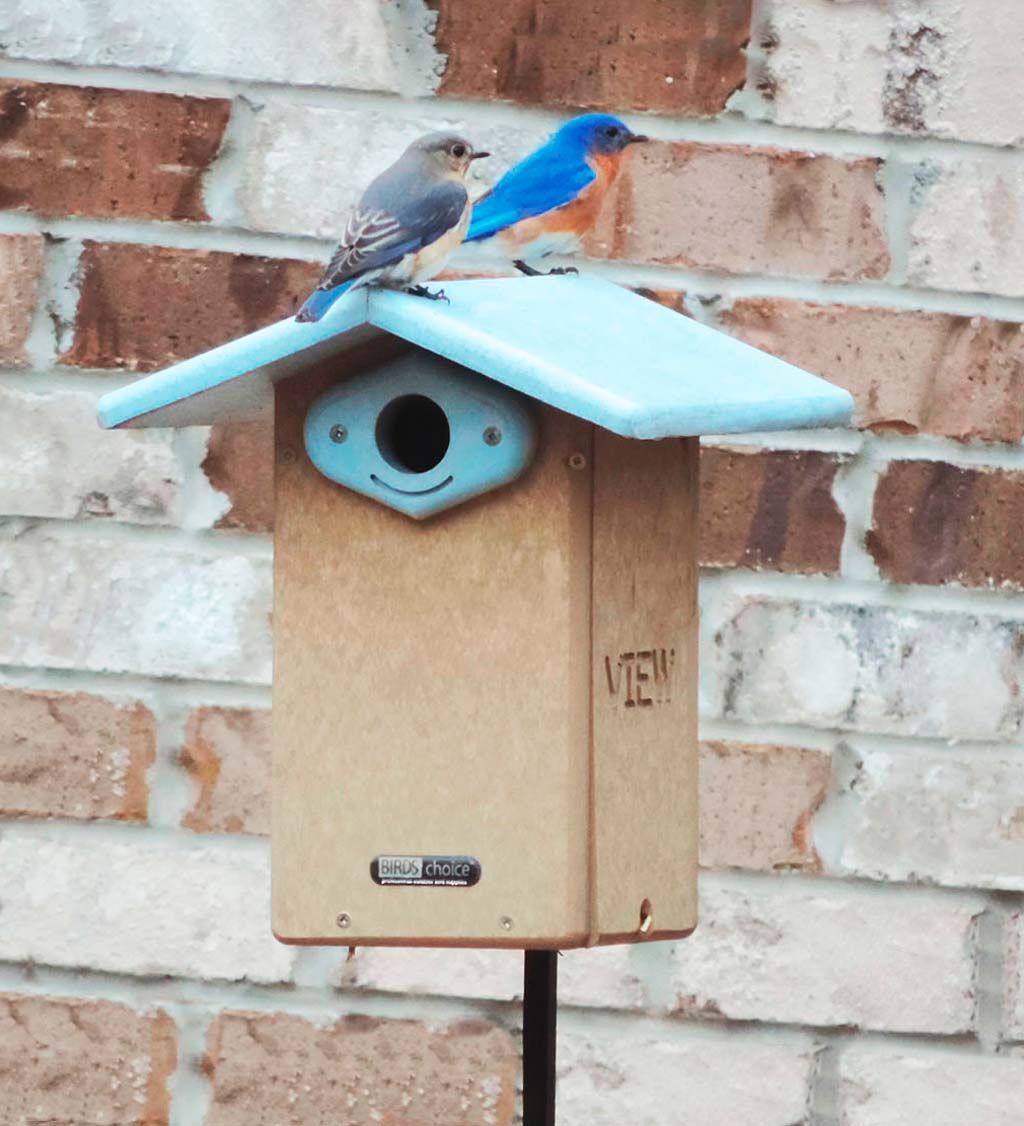 Recycled Poly-Lumber Ultimate Bluebird House