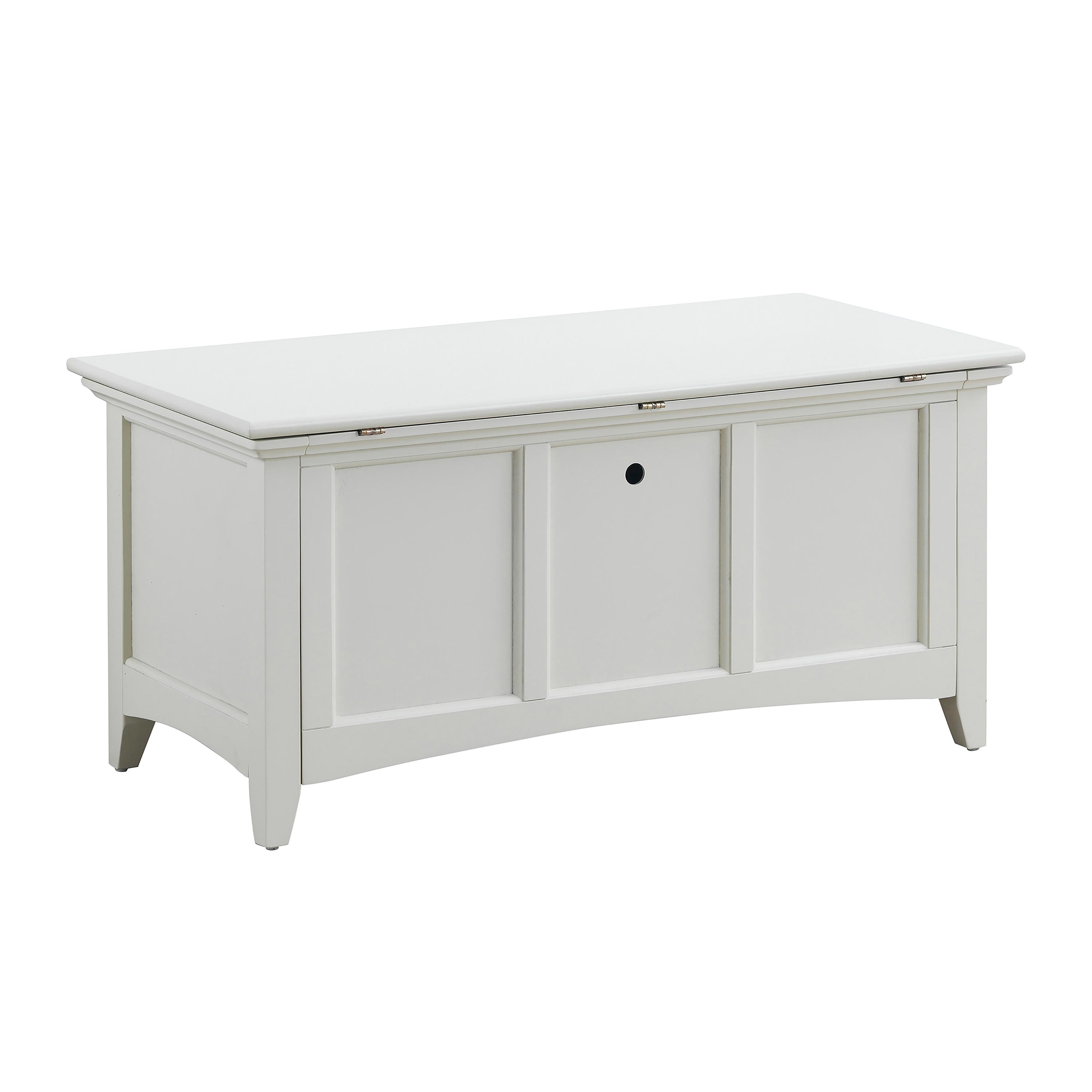 Hinged Paneled Storage Chest/Console