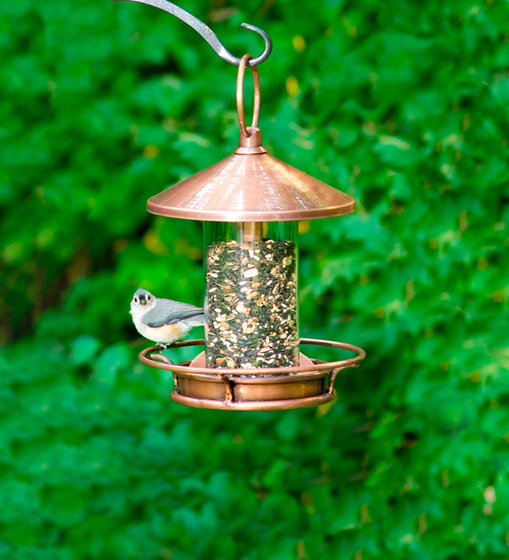 Classic Cylinder Perch Bird Feeder in Antiqued Copper and Plexiglass