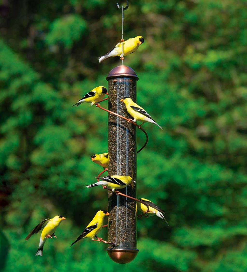 Copper-Colored Spiral-Perch Finch Bird Feeder