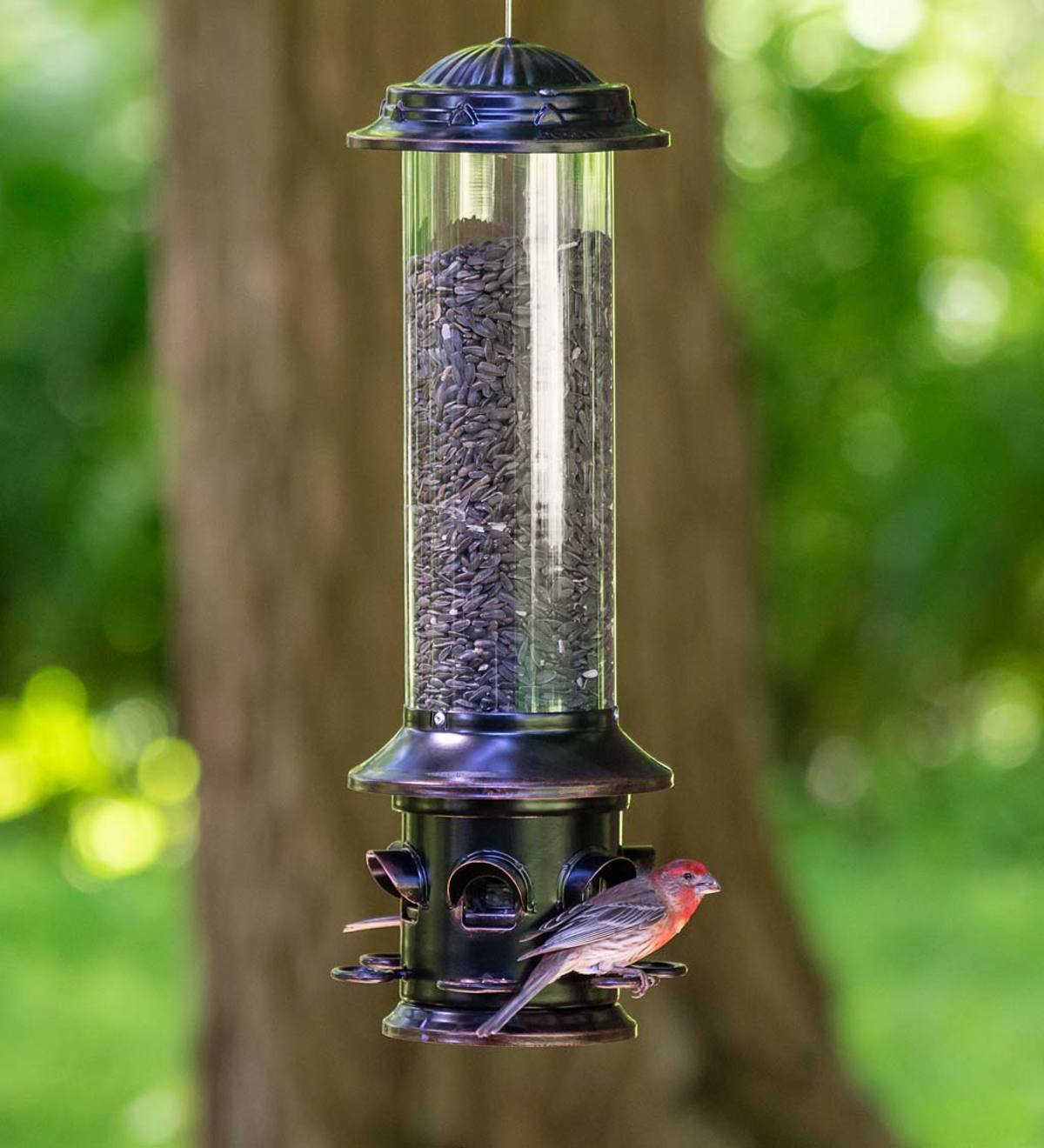 Squirrel-X5 Squirrel-Resistant Hanging Bird Feeder