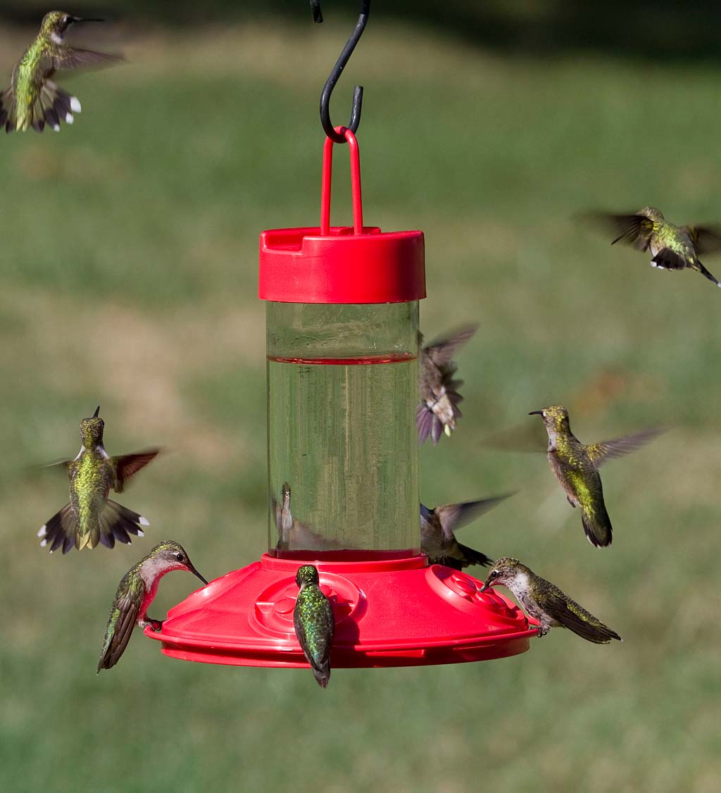 Dr. JB's 16-Ounce Dishwasher-Safe Hummingbird Feeder