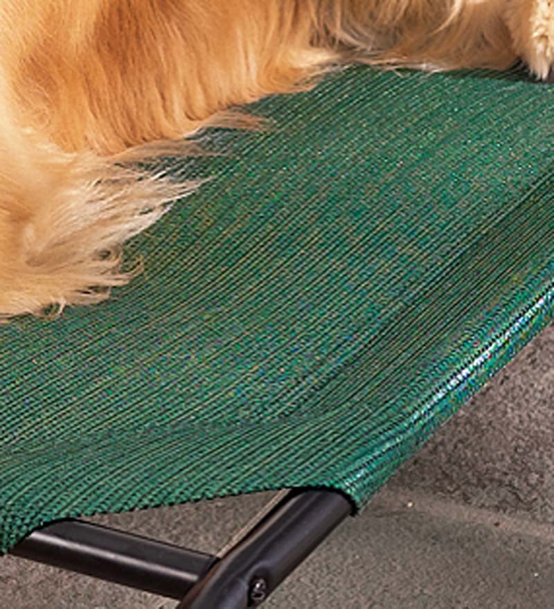 Weather-Resistant Raised Mesh Pet Bed And Replacement Mesh Covers