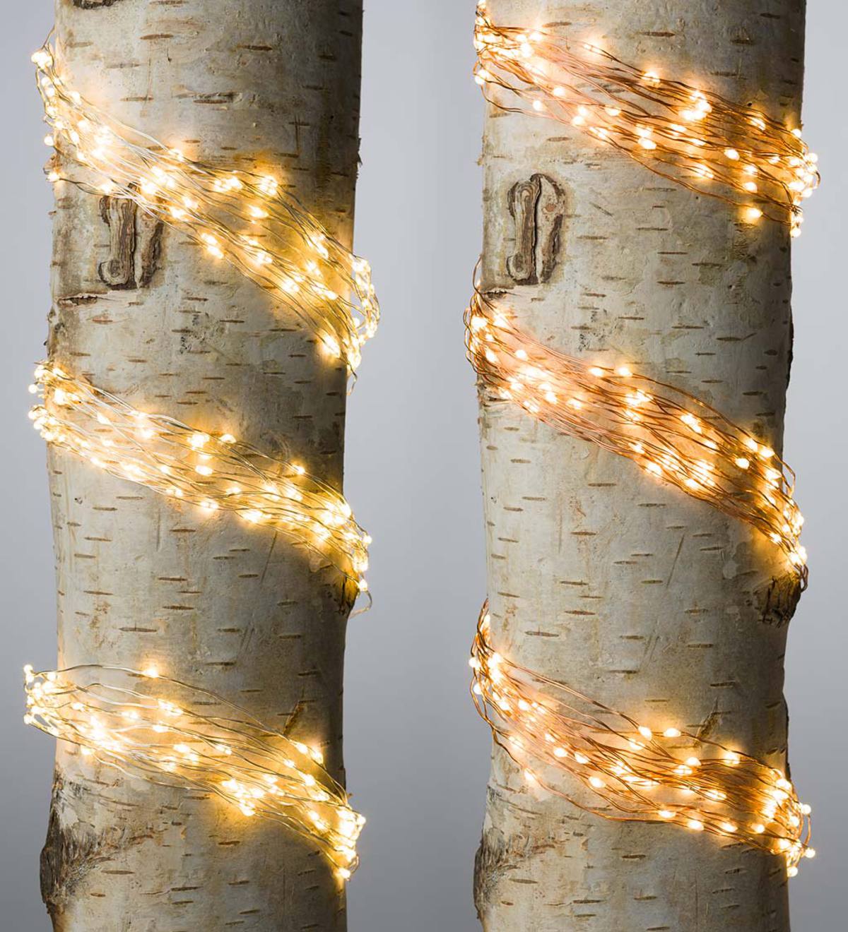 Firefly Bunch Lights, 320 Warm White LEDs on Bendable Wires, Electric, 3'2"L