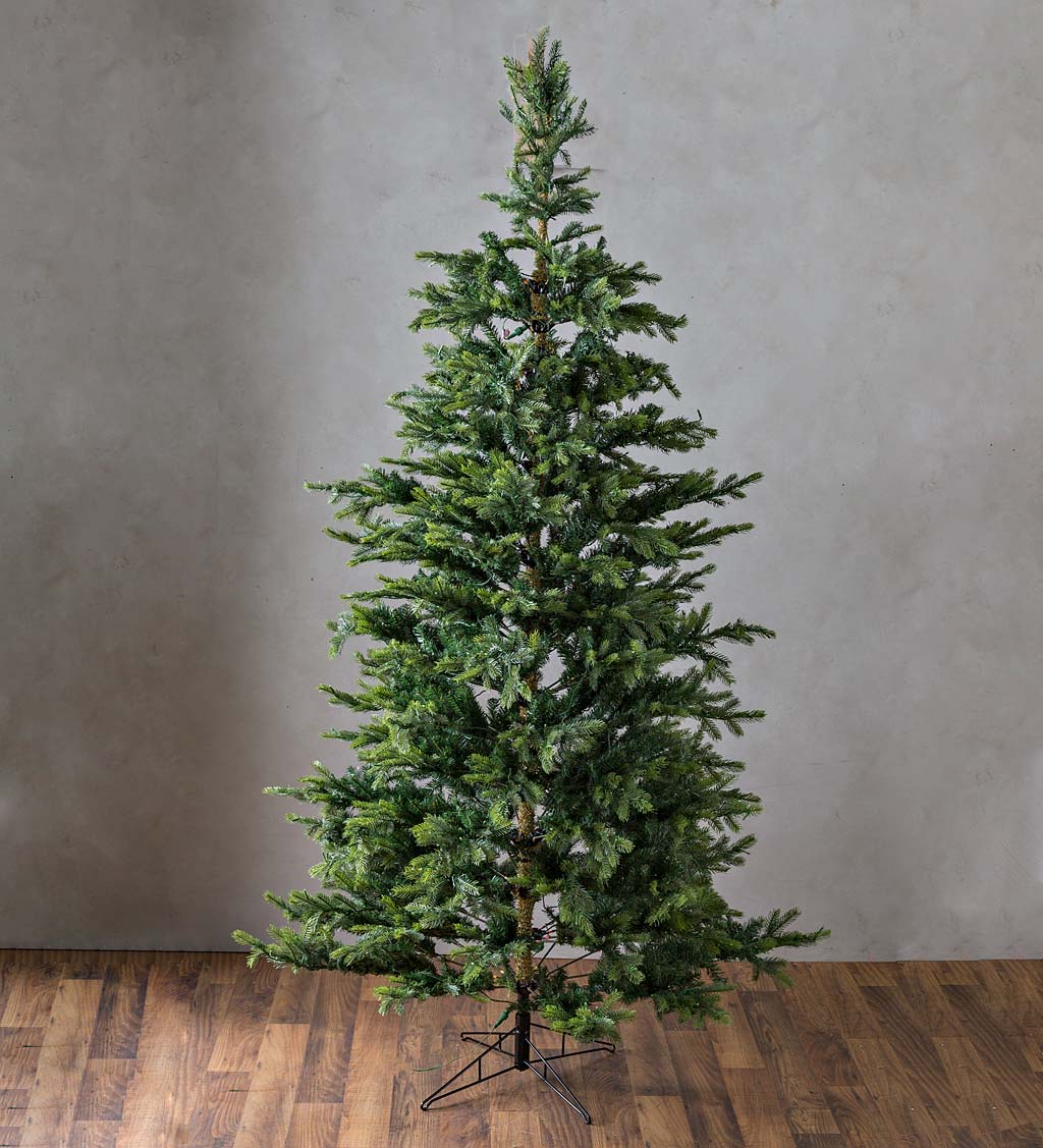 9' Grandis Fir Christmas Tree with 800 Lights