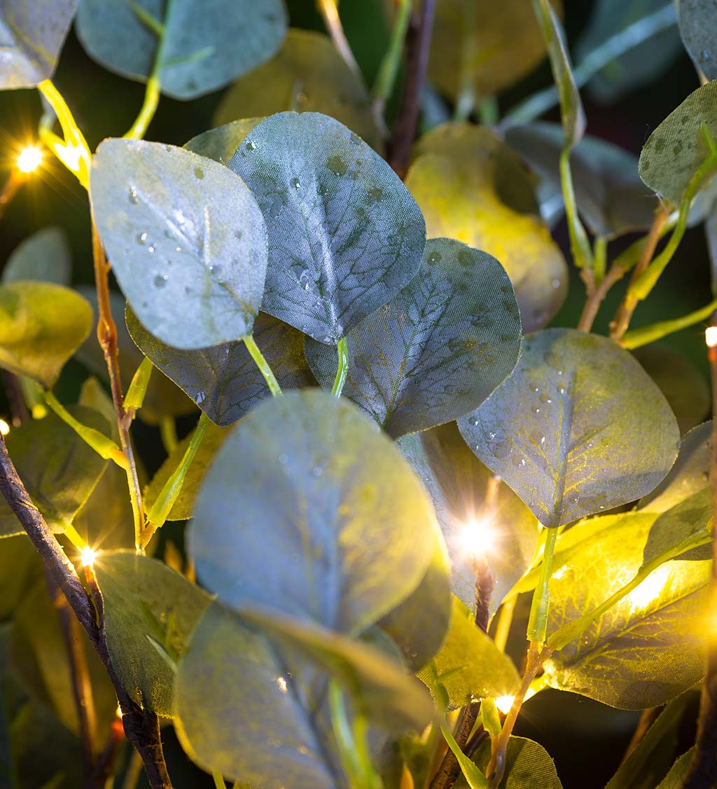 Indoor/Outdoor Battery-Operated Lighted Eucalyptus Branches, Set of 2