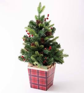 Lighted Tabletop Christmas Tree in Plaid Container