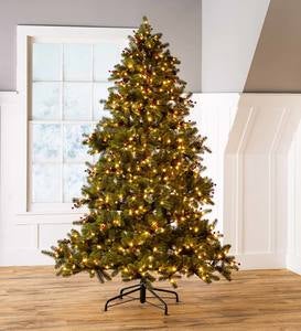 Lighted Outdoor Chippewa Spruce Faux Christmas Tree