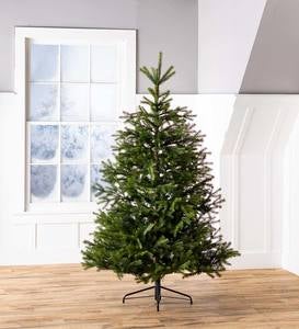 Pre-Lit Arlberg Fir Christmas Tree with Eight Light Functions