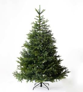 7' Arlberg Fir Christmas Tree