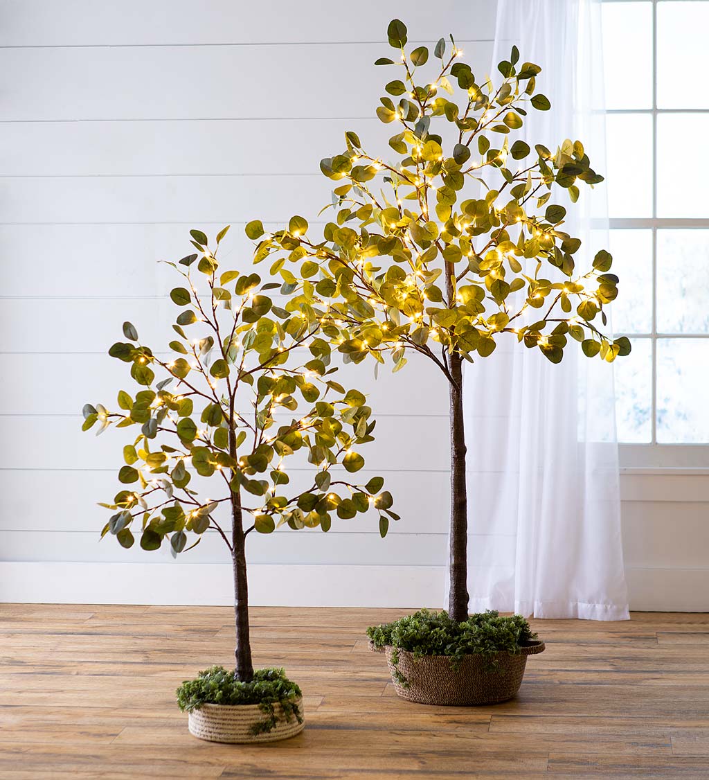 Indoor/Outdoor Electric Lighted Eucalyptus Trees