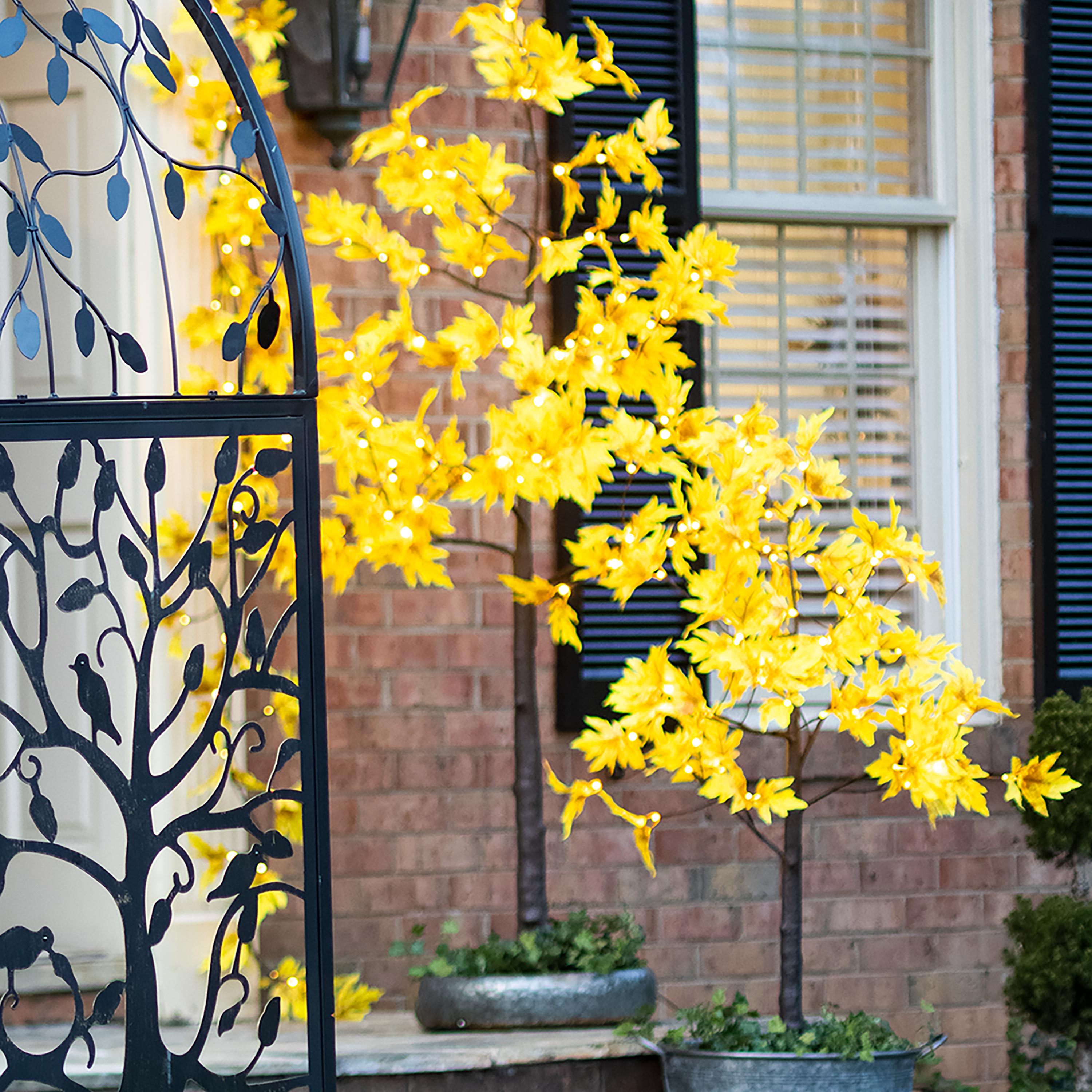 Indoor/Outdoor Electric Lighted Golden Sugar Maple Trees