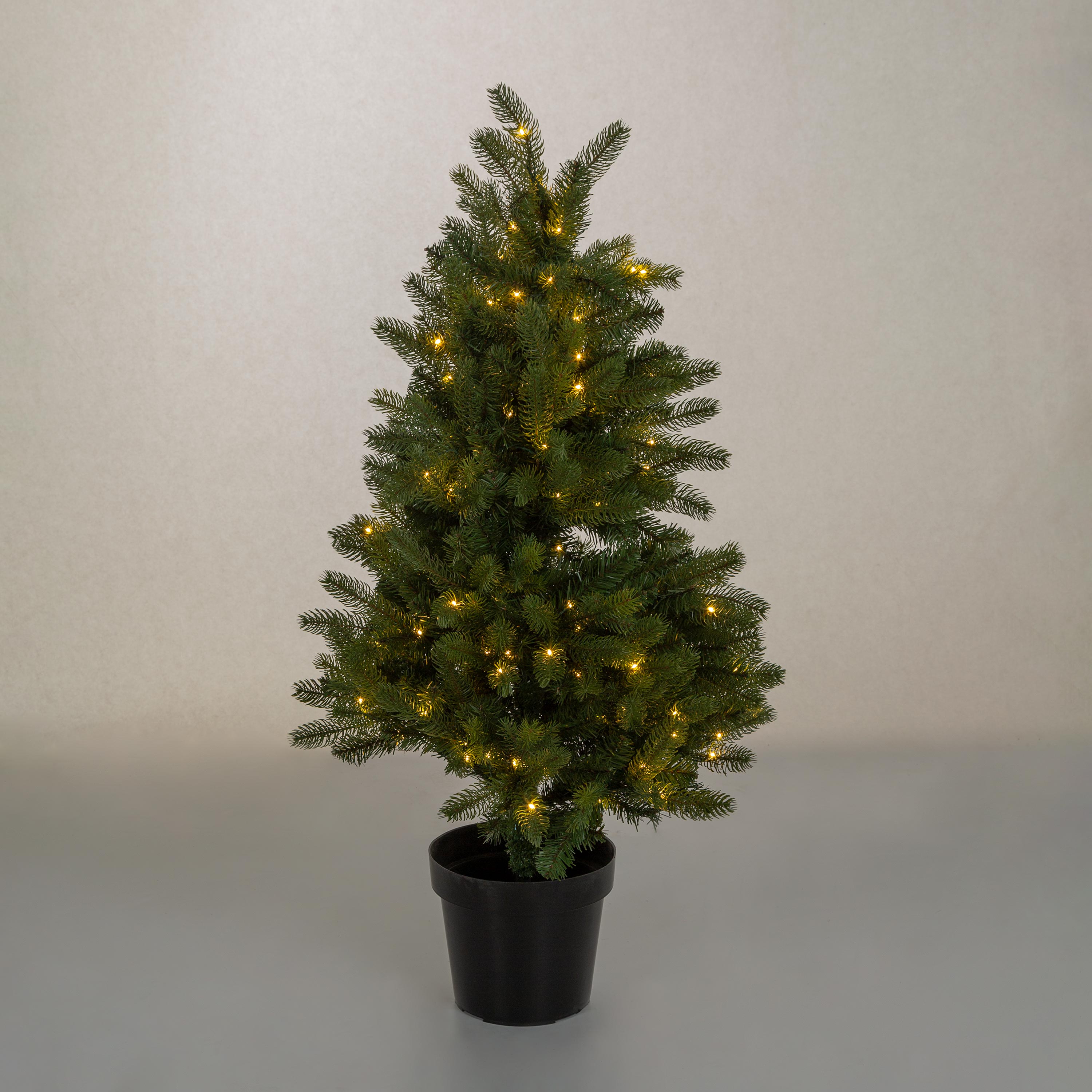 Indoor/Outdoor Keswick Potted Pine Tree with Warm White LEDs