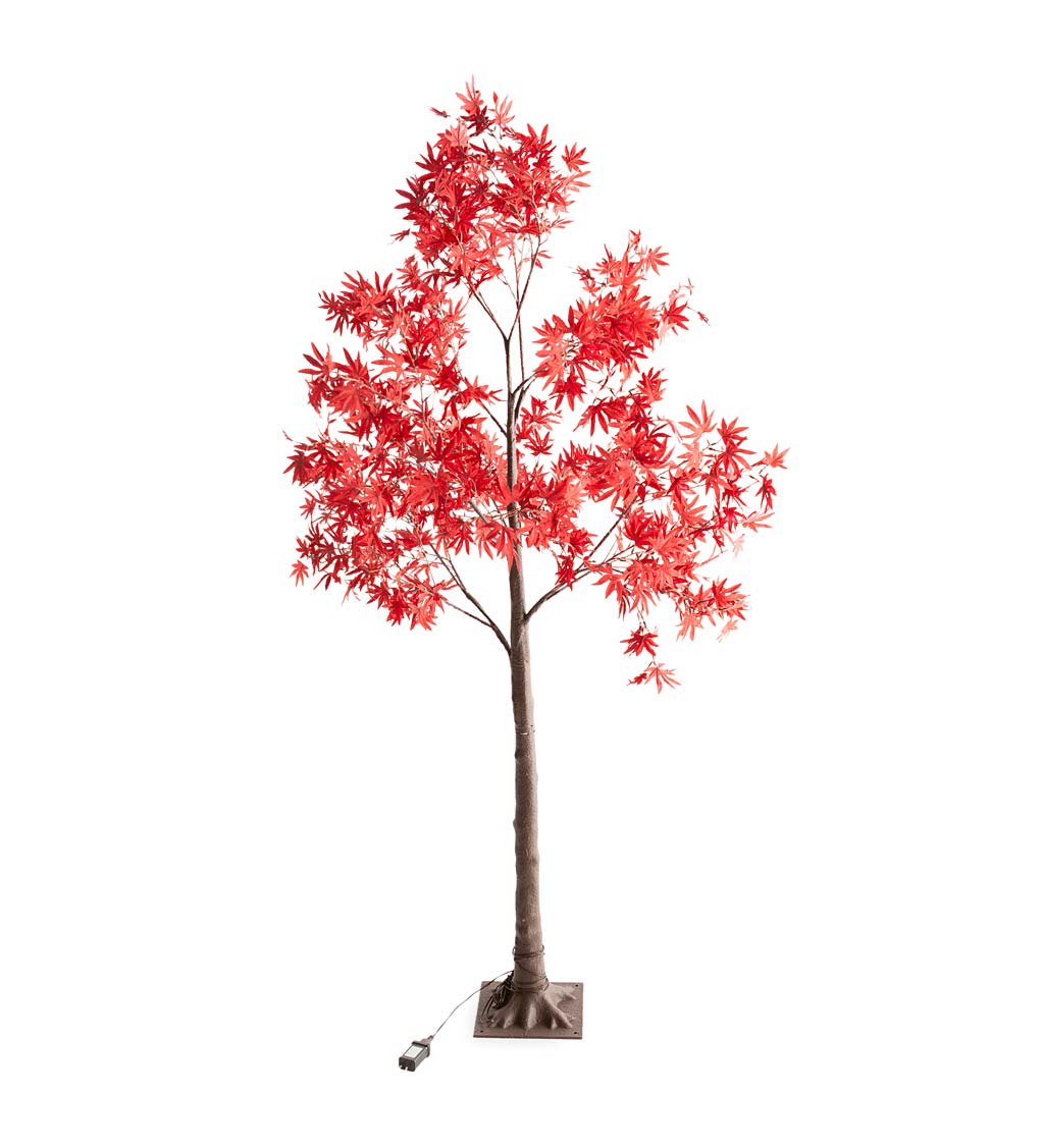 Indoor/Outdoor Electric Lighted Japanese Maple Trees