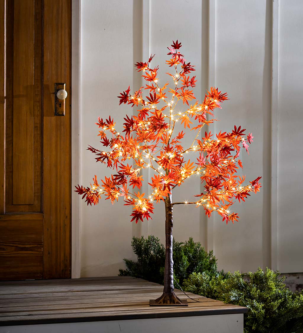 Indoor/Outdoor Electric Lighted Japanese Maple Trees