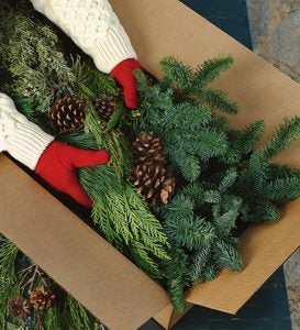 Holiday Woodland Evergreens 7 Lb. Box Of Greens