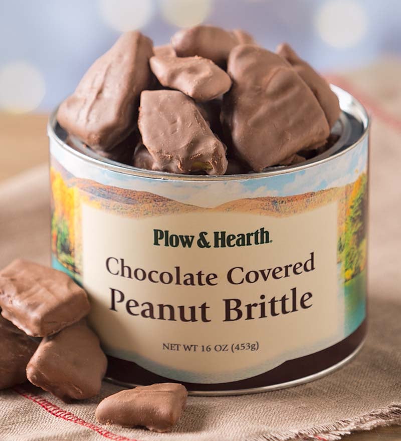 Chocolate Covered Peanut Brittle, 16 oz. Resealable Tin