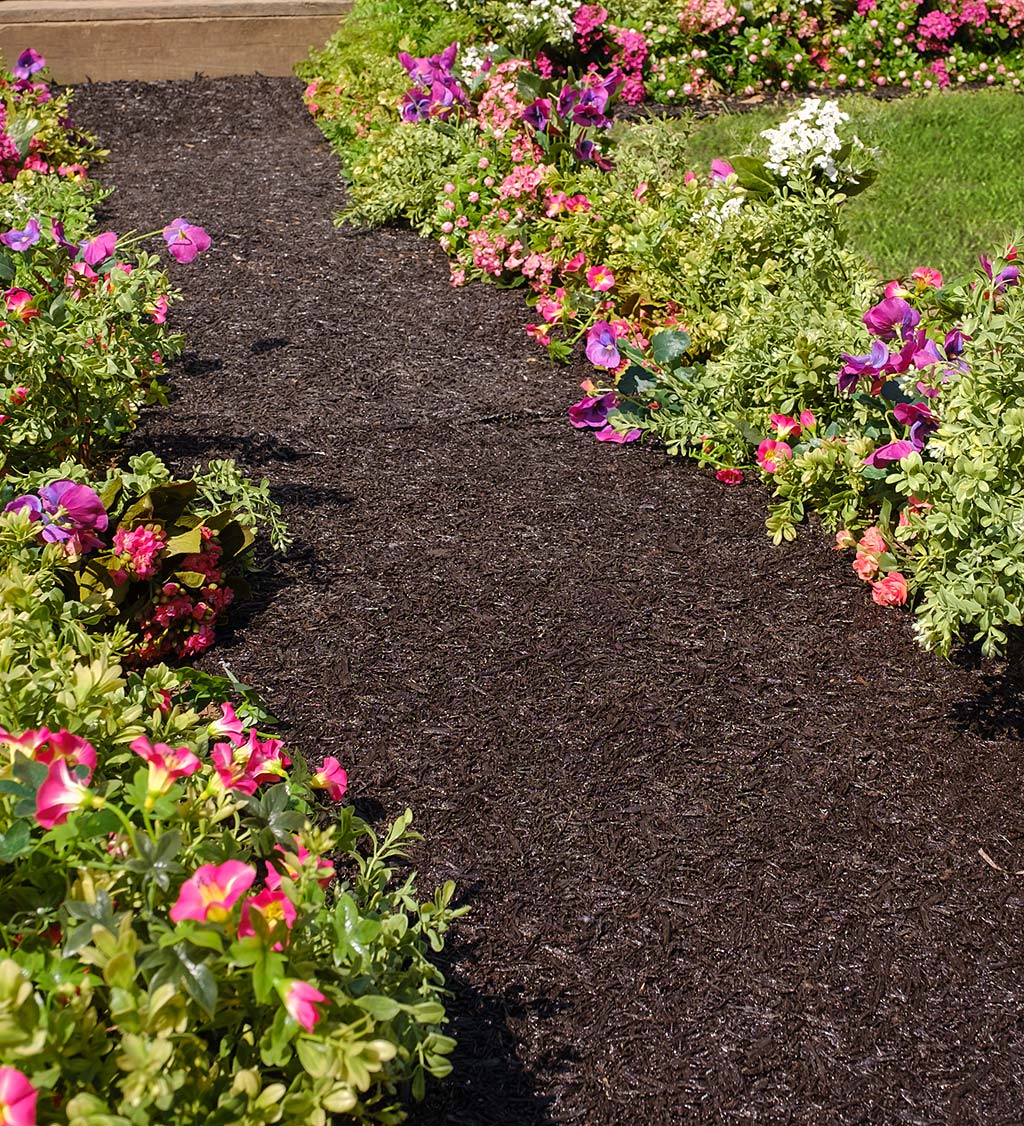 Permanent Mulch Recycled Rubber Pathway