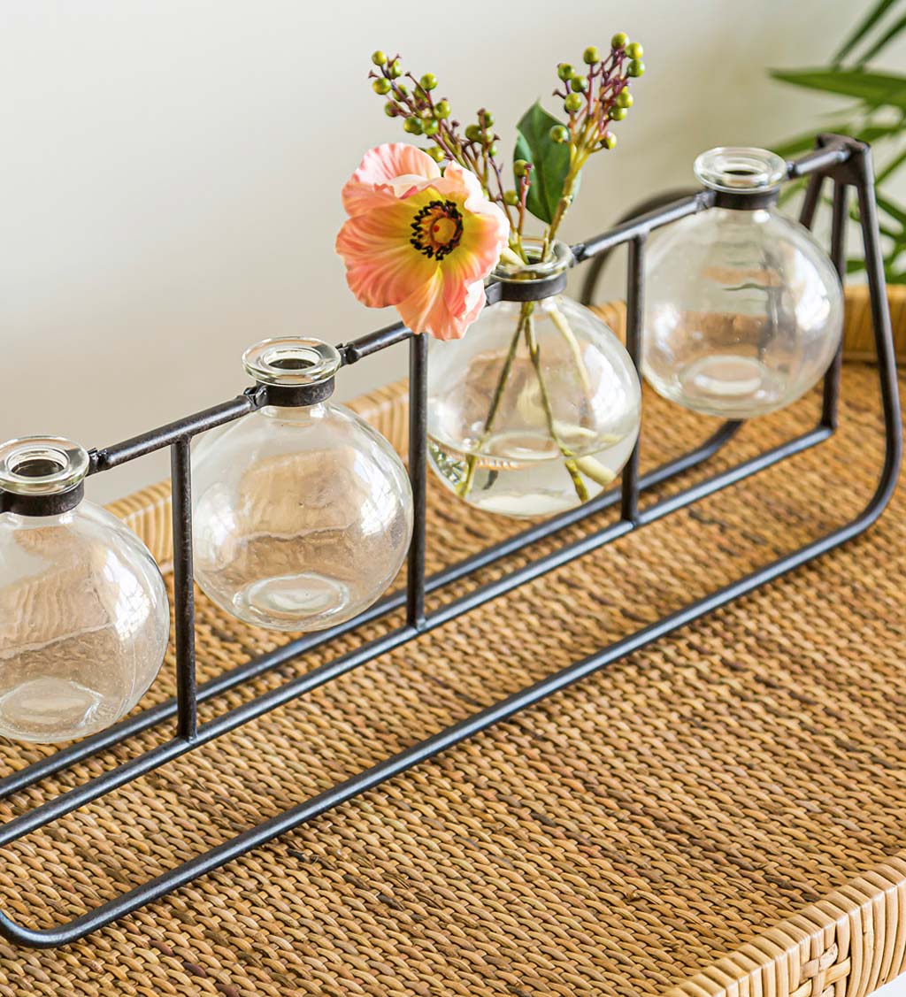 Clear Glass Bud Vases with Metal Rack