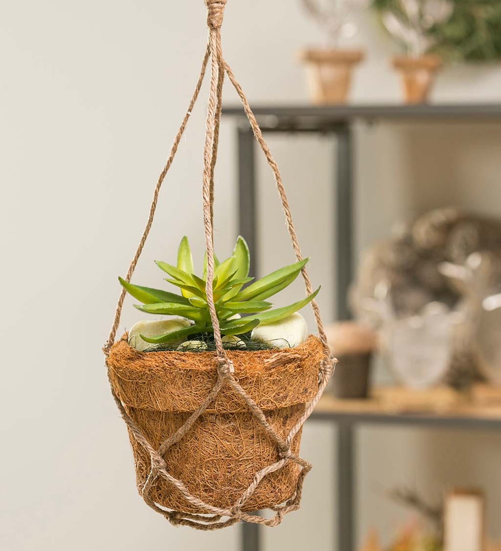 Coir Fiber Pot with Faux Succulents and Rope Hanger