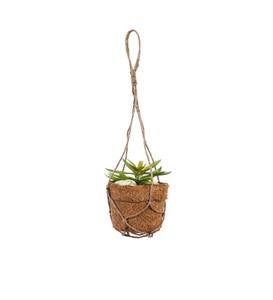 Coir Fiber Pot with Faux Succulents and Rope Hanger