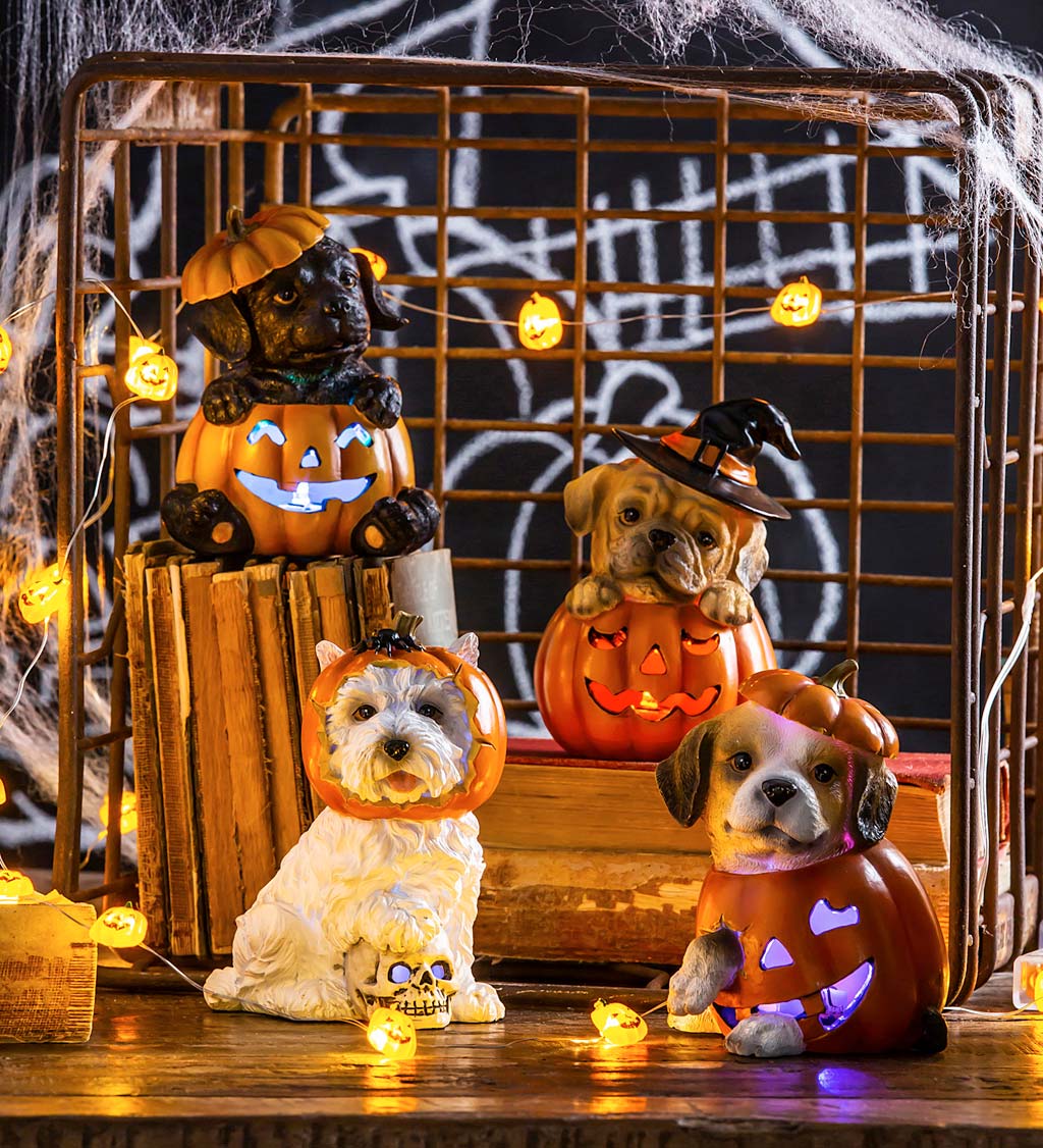 LED Puppy in a Pumpkin Figures, Set of 4