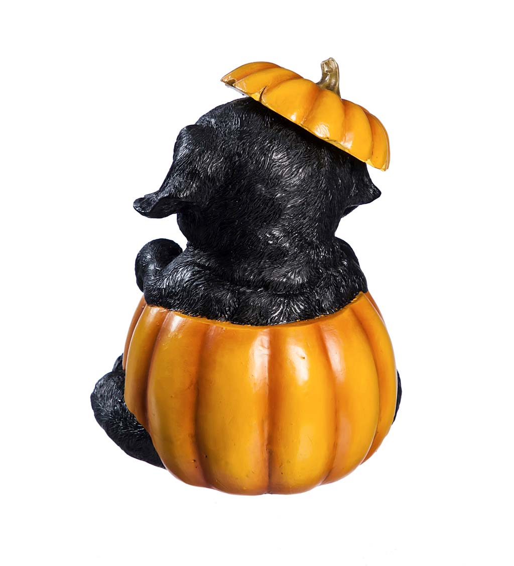 LED Puppy in a Pumpkin Figures, Set of 4