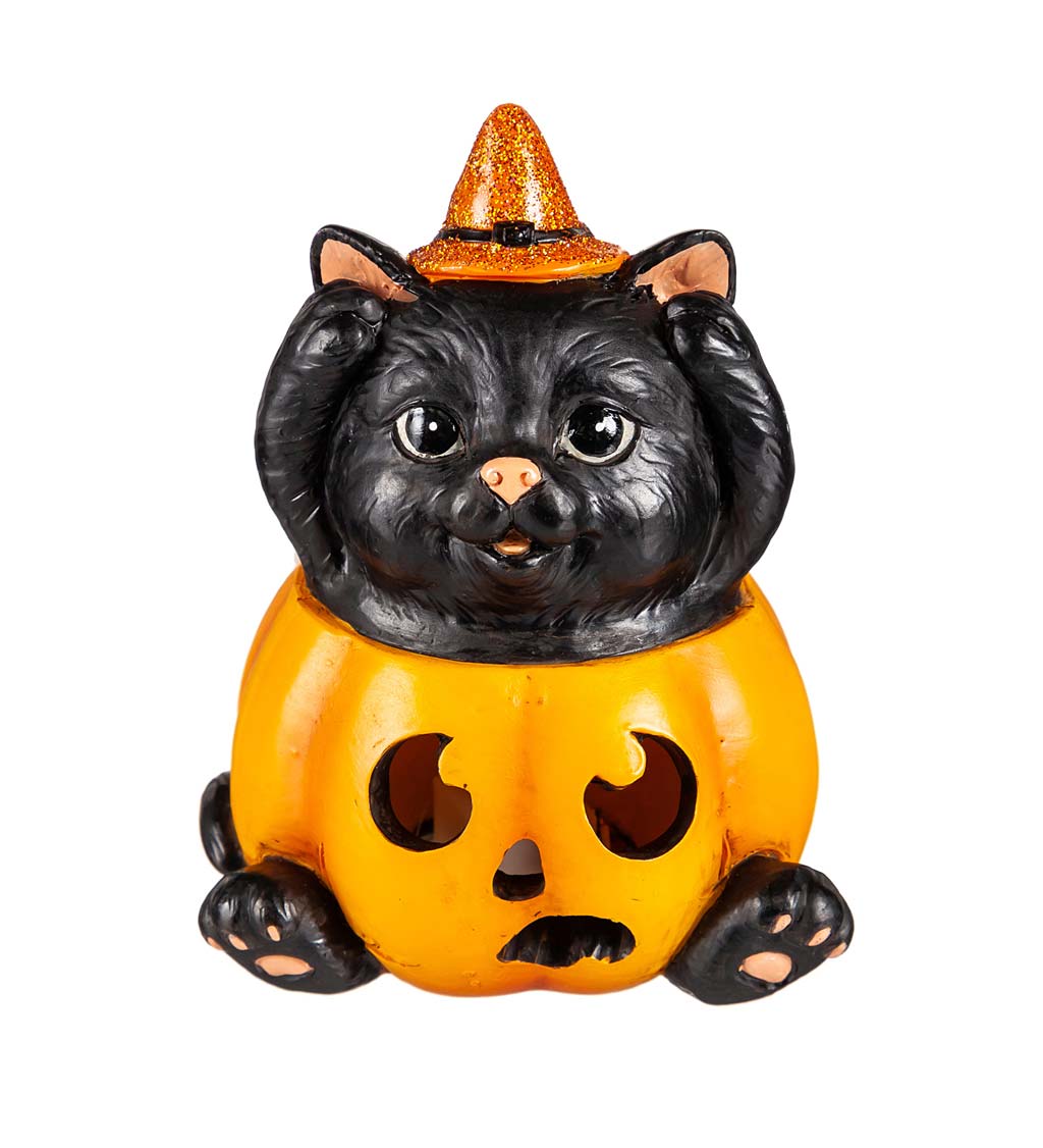 LED Color Changing Halloween Cats in Pumpkins, Set of 3
